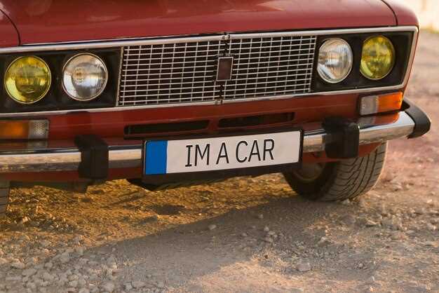 Появление на рынке и первые версии