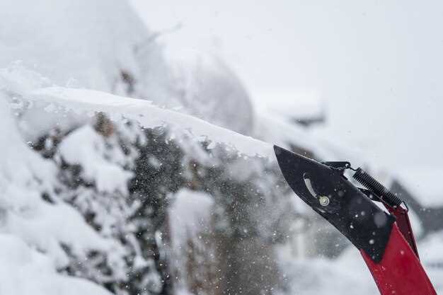 Использование зимних жидкостей для стеклоомывания и их правильное дозирование