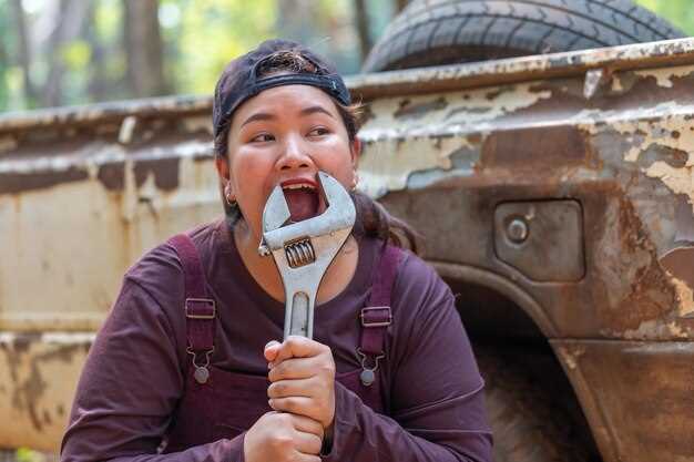 Инструменты и материалы для ремонта моста